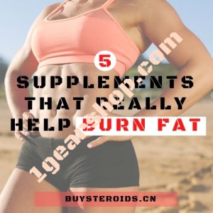 Blog Image-5 Supplements That Really Help Burn Fat