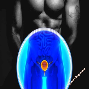 Article Image - Essential Supplements for Men's Prostate Health 1gearshop.com