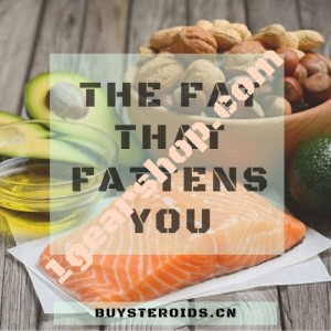 Article Image - The Fat That Fattens You 1gearshop.com