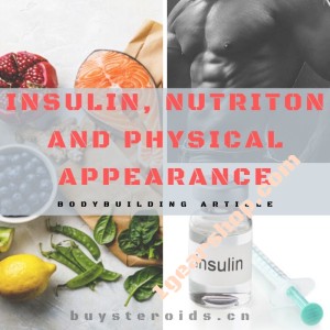 Article Image - Insulin, Nutrition And Your Physical Appearance 1gearshop.com