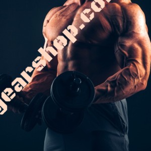 Blog Image-How to build muscle fast?