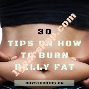 Article Image - Top 30 Tips On How To Burn Belly Fat 1gearshop.com