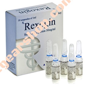 Rexogin 50 mg - 1ml