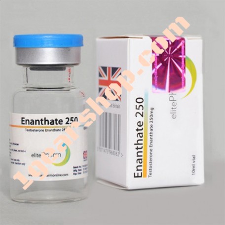 Enanthate 250 mg Elite Pharma 10ml