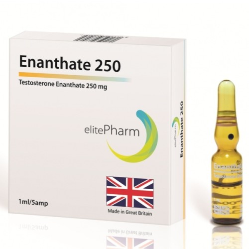 Enanthate 250mg Elite Pharma 1ml