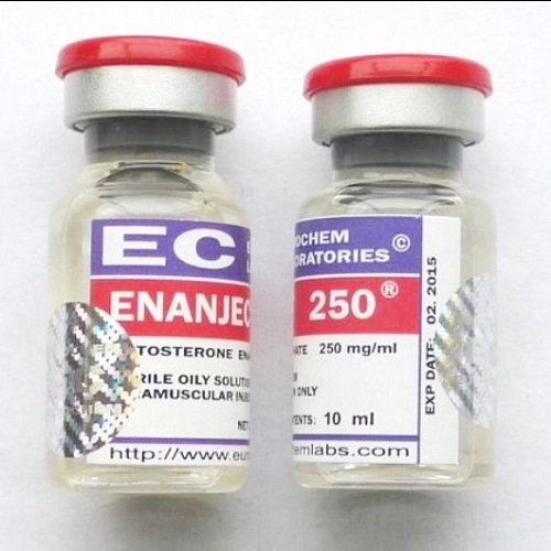 Enanject 250 - Test Enanthate - Eurochem 10ml