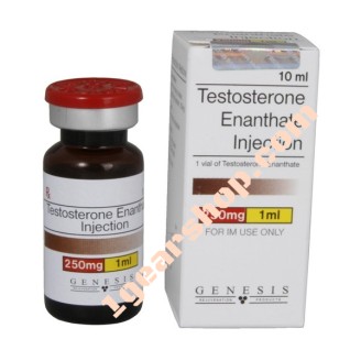 Testosterone Enanthate 250 mg - 10ml