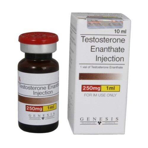 Testosterone Enanthate 250 Genesis 10ml