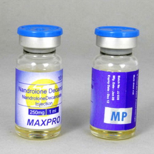 Nandrolone Decanoate 250 Max Pro 10ML