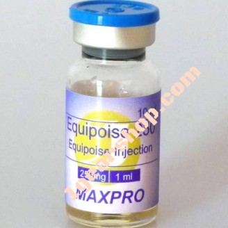 Equipoise 250 mg - 10ml
