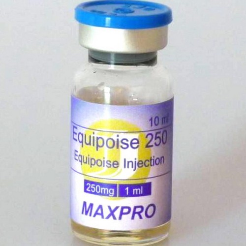 Equipoise 250 Max Pro 10ml (Boldenone)