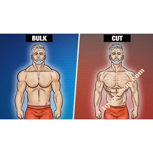 Article Image - Muscle Mass Gaining or Cutting ? 1gearshop.com