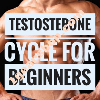 Beginners Steroid Cycle 2