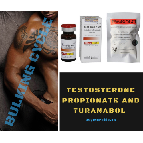 Testosterone Propionate and Turinabol Bulking Cycle