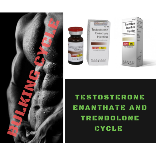 Testosterone Enanthate and Trenbolone Bulking Cycle