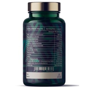 orange-b-allaes-back-side-1gearshop