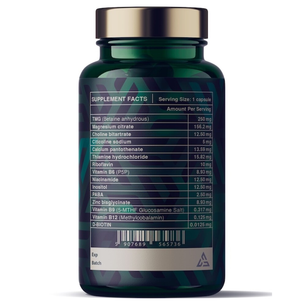 Allaes Orange B 5 orange-b-allaes-back-side-1gearshop