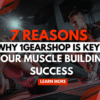 7 Reasons Why 1GearShop Is Key to Your Muscle Building Success