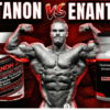 Sustanon vs Testosterone Enanthate Which Works Better for Strength & Muscle