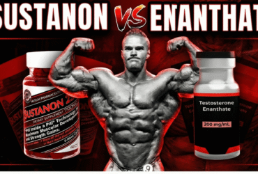 Sustanon vs Testosterone Enanthate Which Works Better for Strength & Muscle