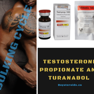 Intermediate Bulking Cycle 2